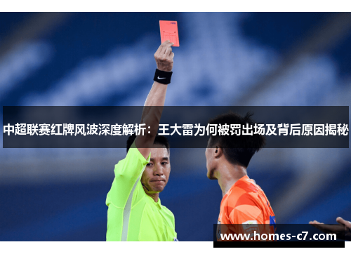 中超联赛红牌风波深度解析：王大雷为何被罚出场及背后原因揭秘
