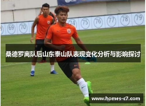 桑德罗离队后山东泰山队表现变化分析与影响探讨